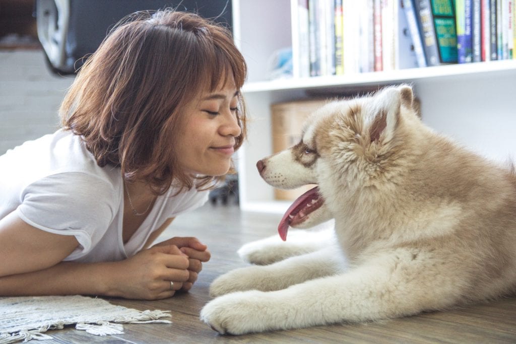 benefits of pet insurance