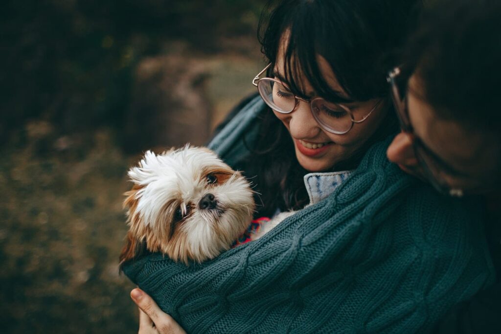 dog in a sweater